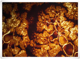 WaxPrint Stoff *Madungo Mahurungi* Meterware,  Afrika