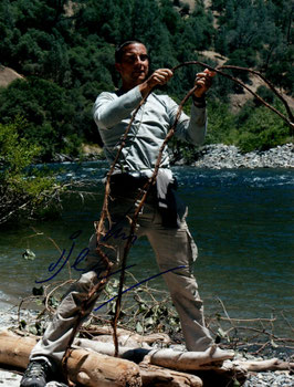 Grylls, Bear