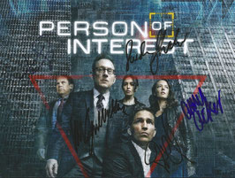 Person of Interest Cast