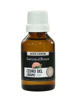 Cedro del Líbano