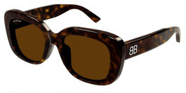 BB0295Sk 001