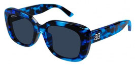 BB0295Sk 004