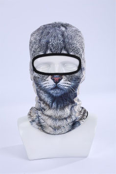 Katze Gray  Kopfpariser