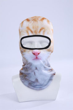 Katze Jimmy Kopfpariser