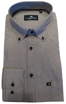 GR Ponte 219A bacchettata blu