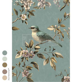 Nieuw - Decoupage - Blue Song