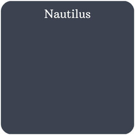 Chalk paint - Nautilus