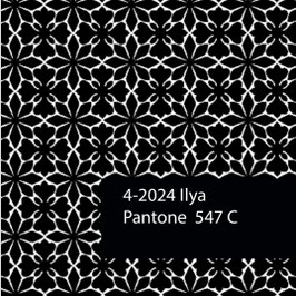 Blockprint Fabric Ilya Black