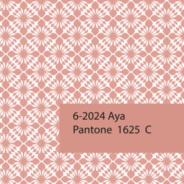 Blockprint Fabric Aya Salmon
