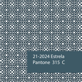 Blockprint Fabric Estrela Turquoise