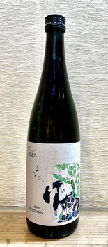 楽器正宗「本醸造 JAM SESSION FUZZY GREEN」
