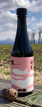 奥能登の白菊「能登の酒を止めるな！　最終章」