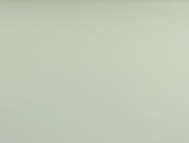 Jersey Baumwolle Farbe Ecru