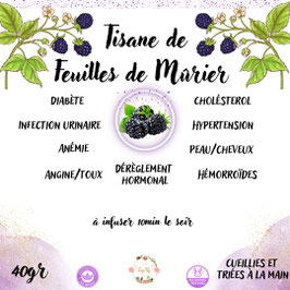 Tisane de Feuilles de Mûrier