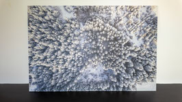 Tableau Alu - Forêt corrézienne sous la neige vue du ciel