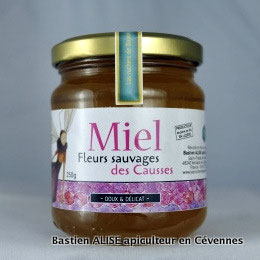 Miel de fleurs sauvages des Causses