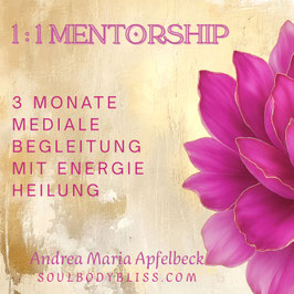 1:1 Mentorship-Online Kurs 3 Monate
