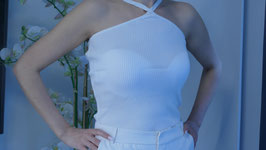 Transitum Top