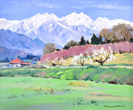 赤羽忠親　「安曇野春景　後立山連峰」　油彩　Ｆ８号　真作保証　安曇野風景画のスペシャリスト！　一枚の繪人気画家！特価！
