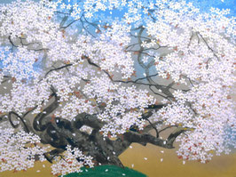 中島千波「清風山桜」シルクスクリーン １2号　300部限定　真作保証　清々しく艶やかな銘品　東京藝術大学名誉教授　特価！