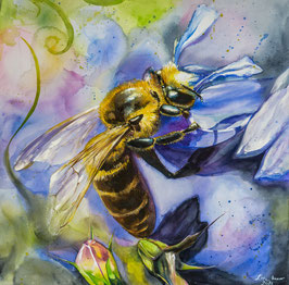 Honey bee I