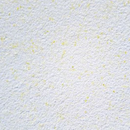 Farbzusatz C21
