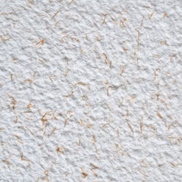 Farbzusatz C24