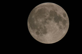 Vollmond