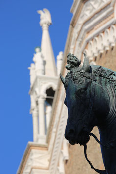 Pferd im Schatten der Kirche.