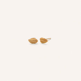 Ohrstecker "ELM LEAF" vergoldet