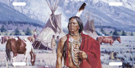 Plaque Immat Native & Tipi