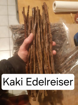 Diospyros Edelreiser