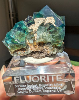 Fluorit 50 Year Pocket
