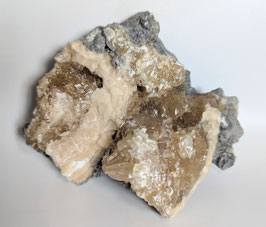Fossile Muschel mit Calcit