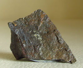 Gibeon Meteorit