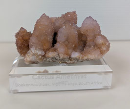 Spiritquarz / Kaktusquarz