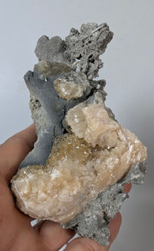 Fossile Muschel mit Calcit