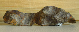 Gibeon Meteorit