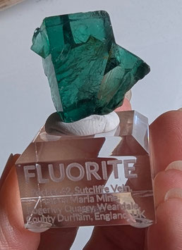 Fluorit Twin