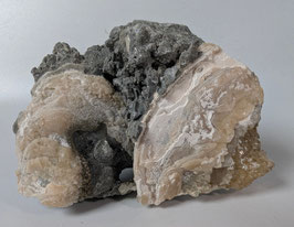 Fossile Muschel mit Calcit
