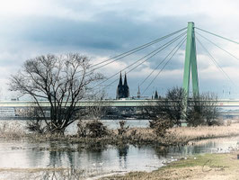 Winterimpressionen Köln (271)