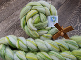 Kammzug OOPS A DAISY - Merino (WOW-Team Blends 5)