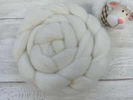 FALKLAND MERINO
