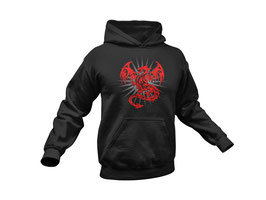 Hoodie Drachen