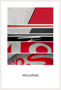 Moosfeld