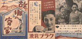 故郷の廃家(松竹大船作品/チラシ日本映画)