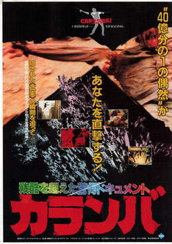 カランバ(東宝プラザ/チラシ外国映画)
