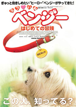 ラブいぬ ベンジー はじめての冒険(館名ナシ/チラシ外国映画)