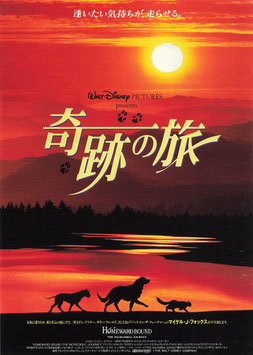 奇跡の旅(帝国座/チラシ外国映画)