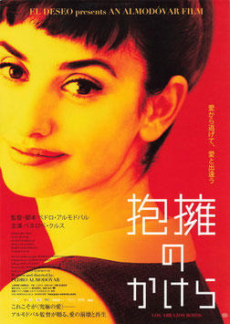 抱擁のかけら(チラシ外国映画)